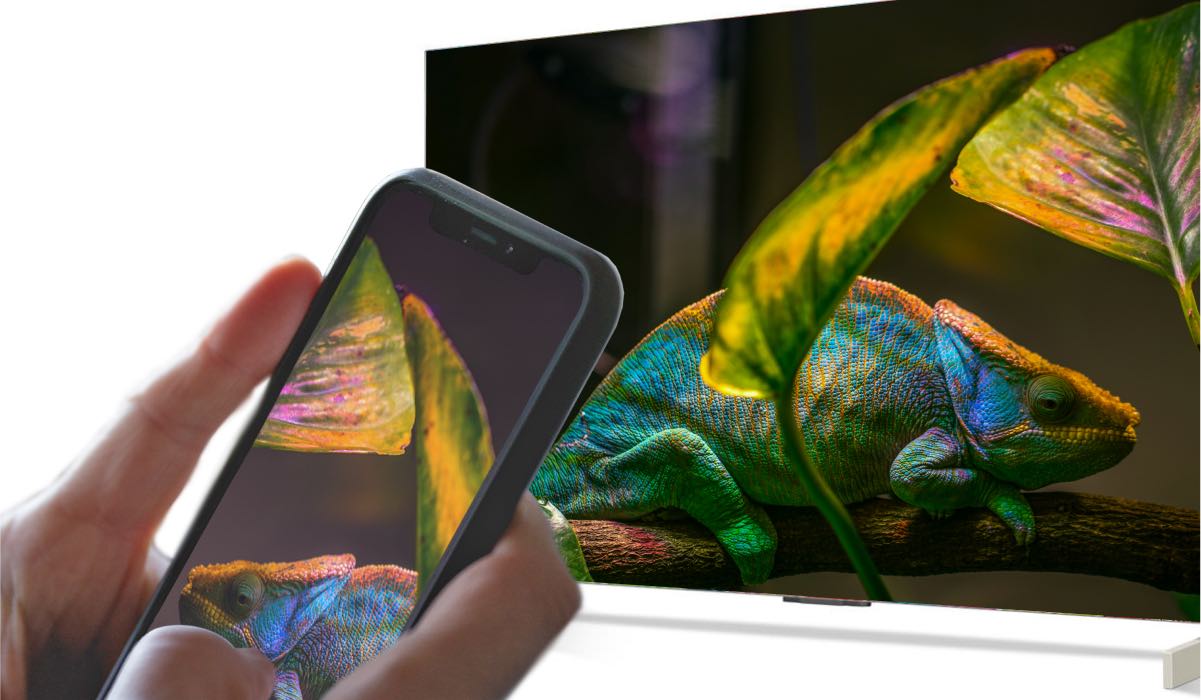 An iPhone mirroring an image of leaves to an LG TV